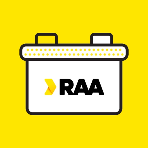 RAA lithium battery monitor
