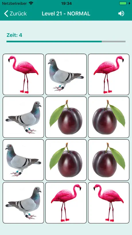 Brain game. Picture Match