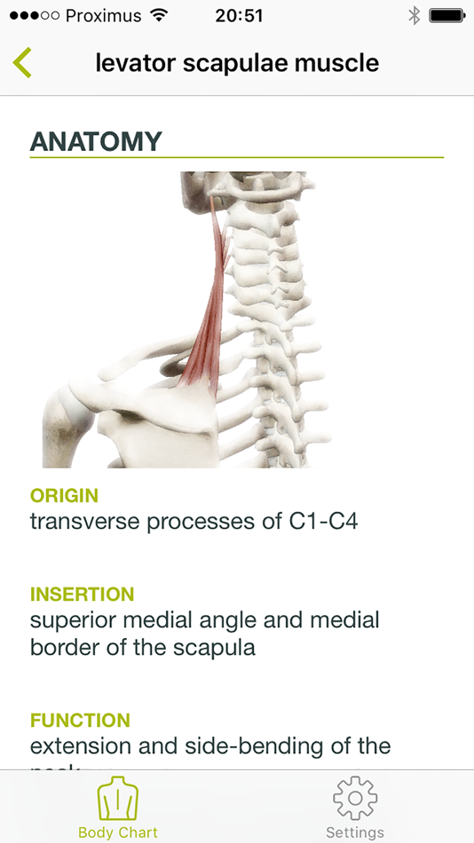 #3. Dry Needling Guide (iOS) 由: BarB BVBA