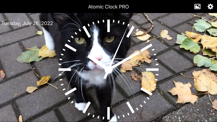 Atomic Clock PRO screenshot-6