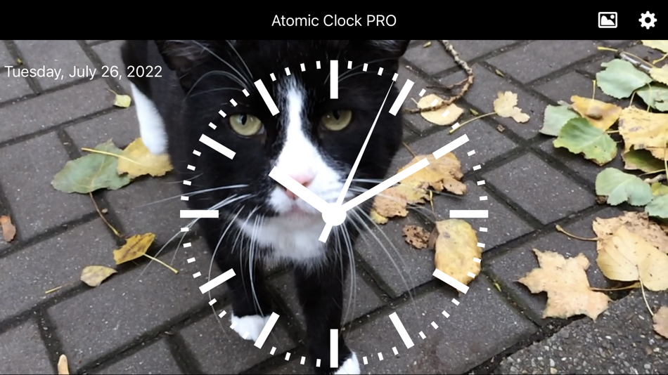#7. Atomic Clock PRO (iOS) Podle: Brachmann Online Marketing GmbH & Co. KG
