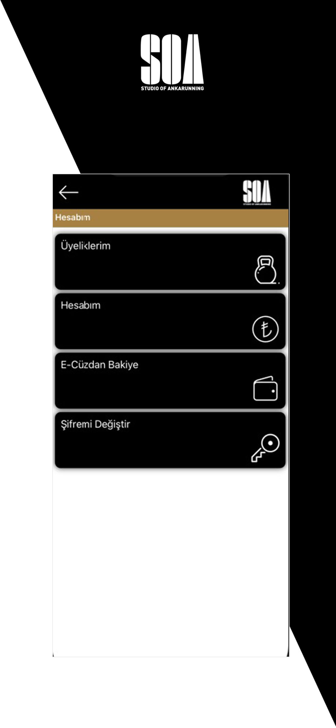 Studio Of Ankarunning