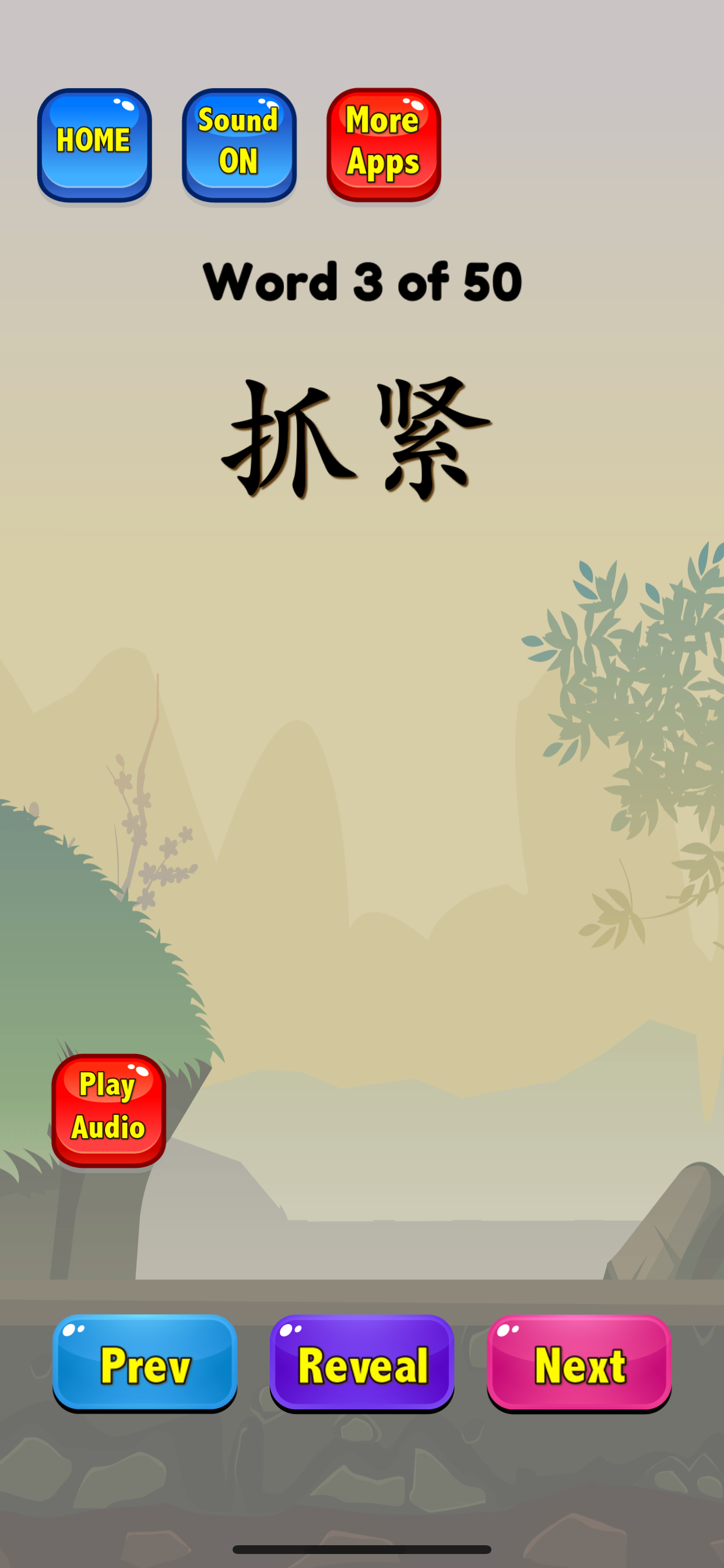 Chinese Flashcards HSK 5