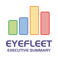 EyeFleet Executive Summary