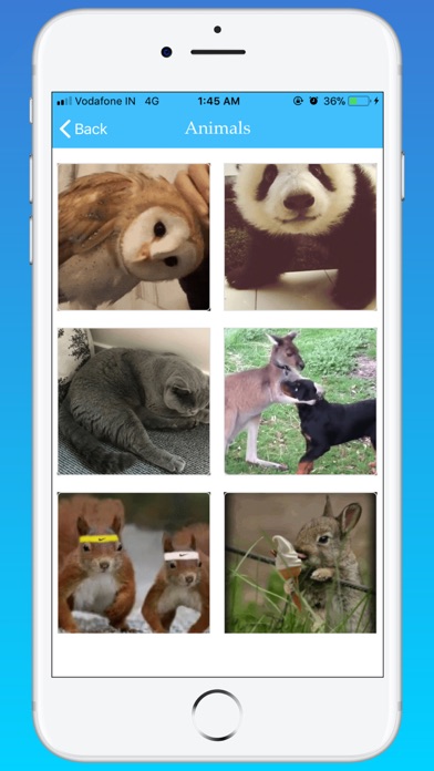 GIF Master - Funny GIF Search Screenshot