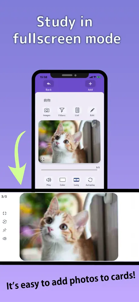 Flashcards Maker