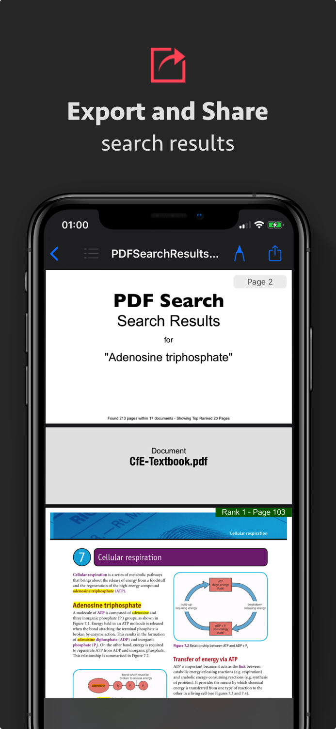 PDF Search