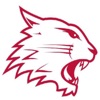 Swindon Wildcats