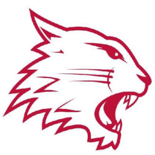 Swindon Wildcats