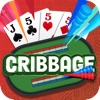 Cribbage: Classic Card Game