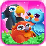 Bird Triple Match App Positive Reviews