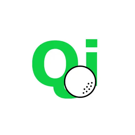 QiSoft Golf Читы