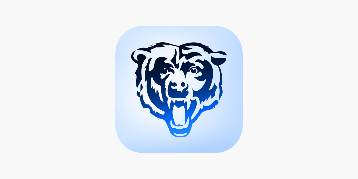 Brand Guidelines  Chicago Bears Official Website