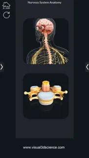 my nervous system anatomy iphone resimleri 3