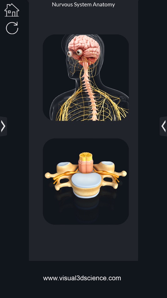 #3. My Nervous System Anatomy (iOS) 由: Santosh Chavan