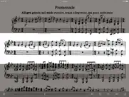 mussorgsky pictures exhibition ipad resimleri 1
