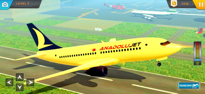 Real plane flight simulator