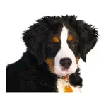 Dog photo sticker App Cancel