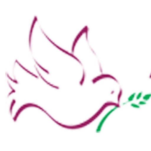 Inmediate Service Request