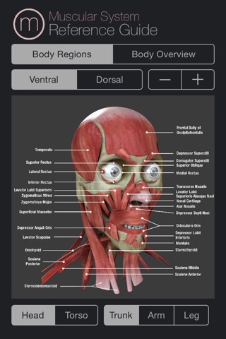 Human Muscular System Guideのおすすめ画像1