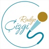 Radyo Çizgi icon