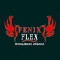FÊNIX FLEX - PASSAGEIRO app download