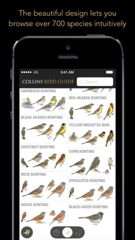 Collins Bird Guideのおすすめ画像1