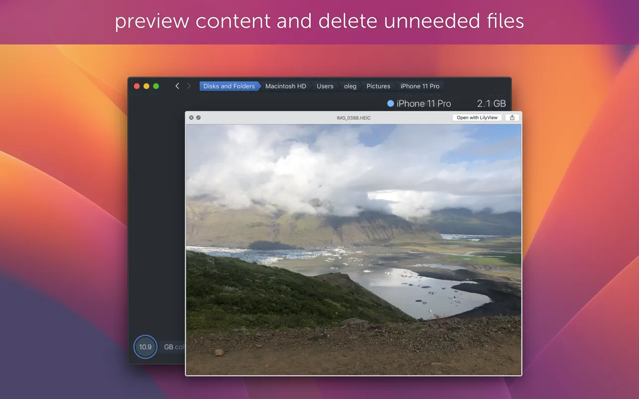 #3. DaisyDisk (macOS) 게시자: Software Ambience Corp.