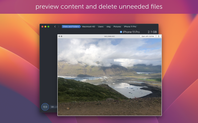 DaisyDisk Screenshot