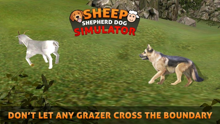 Sheep Herding Dog Simulator screenshot-4