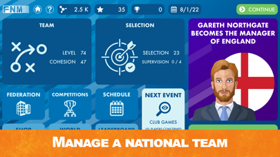 Football National Manager Screenshot