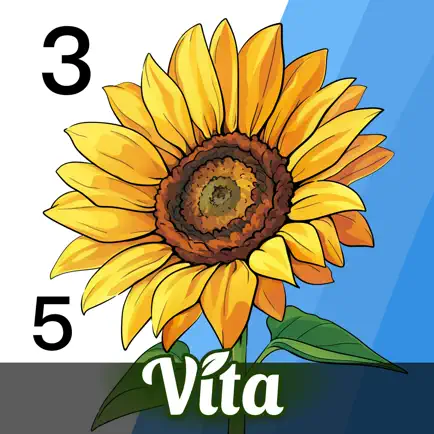 Vita Color for Seniors Читы