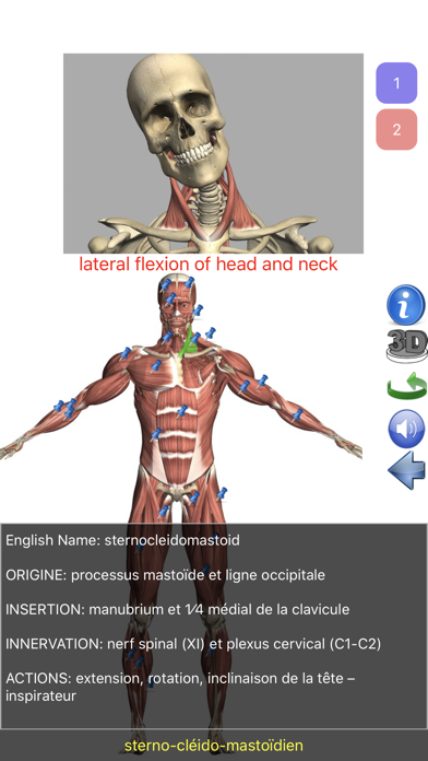 Screenshot #1 pour Visual Anatomy Lite