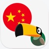 Mandarin Mate- Learn Chinese