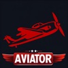 Aviator Crazy Pilot icon