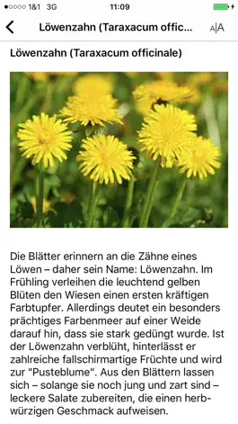 Game screenshot Karwendel-Apotheke hack