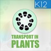 Transport in Plants Biology icon