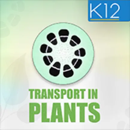 Transport in Plants Biology Cheats