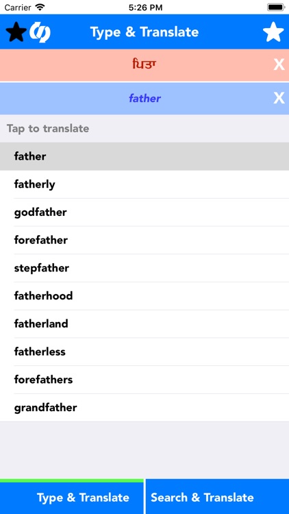 English to Punjabi Translator
