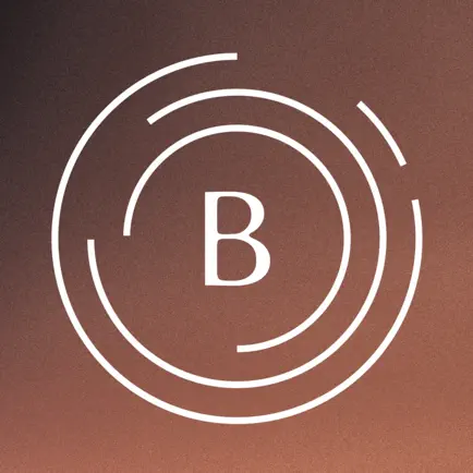 B-One Читы