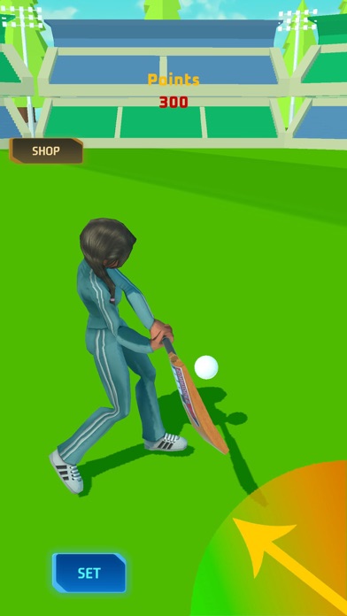 PM Cricket Sports Screenshot