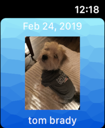 Dog of the Day screenshot 9