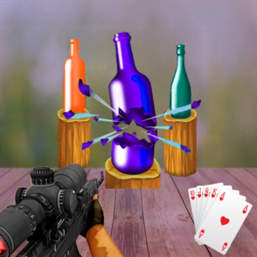 Bottle Shooter Expert 3D icon