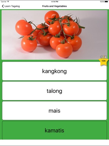 Learn Tagalog - Flashcardsのおすすめ画像4