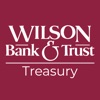 WBT Treasury Solutions icon