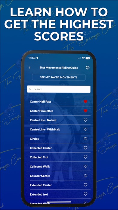 The Dressage Coach Screenshot