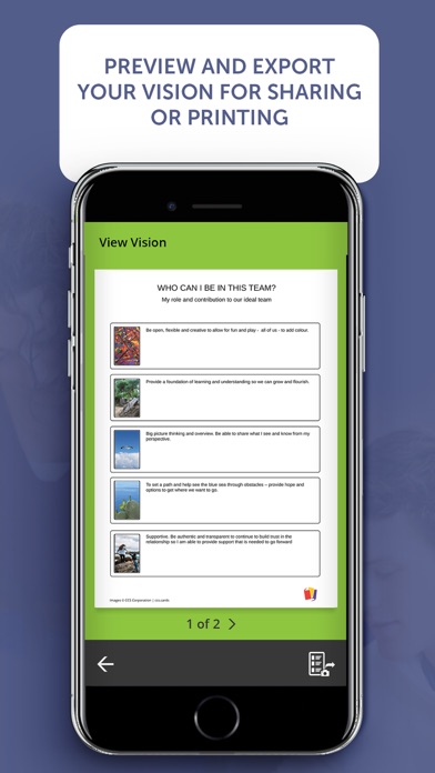 CCS Vision Pack Screenshot