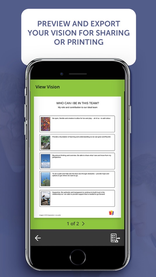 #6. CCS Vision Pack (iOS) 由: CCS CORPORATION PTY LTD