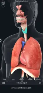 My Respiratory System Anatomy screenshot #3 for iPhone