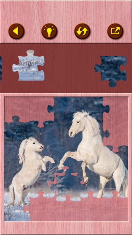 Horse Jigsaw Puzzle Games screenshot-7